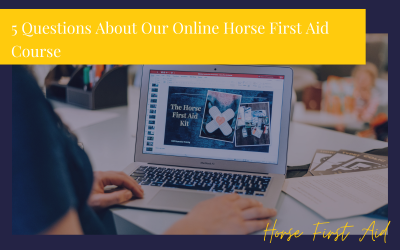 5 Questions You Might Have About The Horse First Aid Course Online