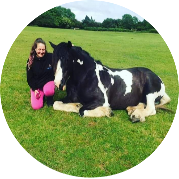 olOw3QH3Ro2lwCA6Ia7j_sarah.png equine nutrition course testimonial