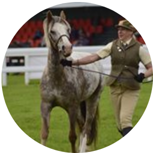 wPxil5xlTe2IMTuTZgke_horse owners page-2.png equine first aid