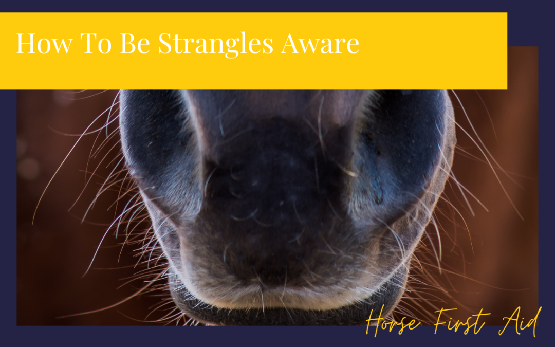 How To Be More Strangles Aware