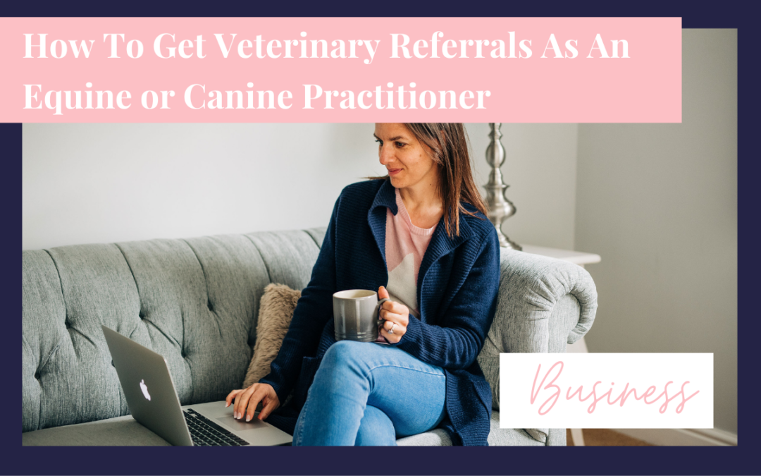 How to get referrals from vets as an equine or canine practitioner