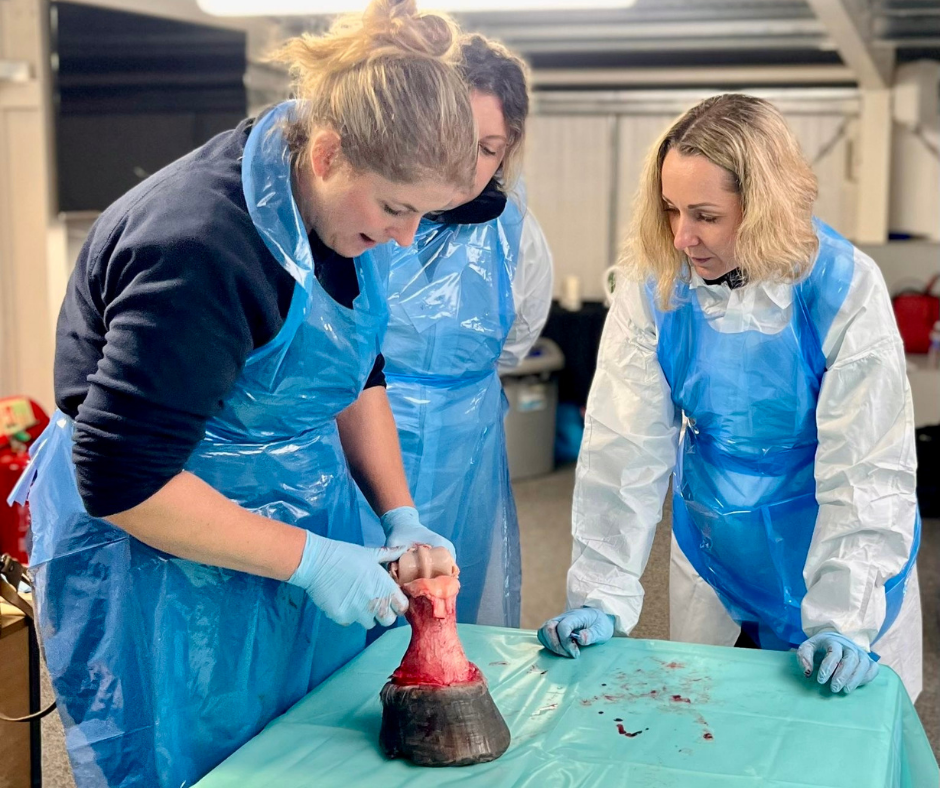 expert method retreat